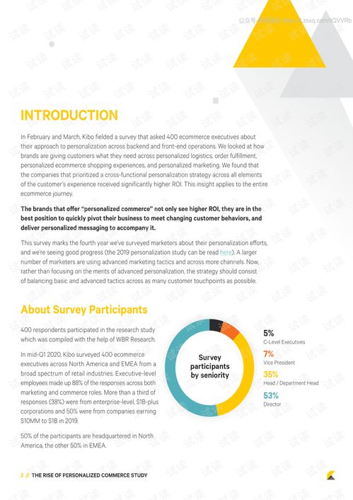kibo 電子商務(wù)個性化營銷調(diào)查 英文 2020.5 11頁精品報(bào)告.pdf