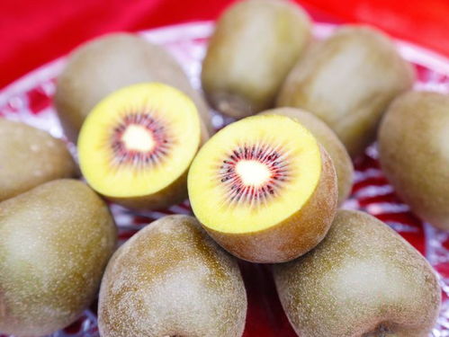 塬生就是好，消費扶貧e起來——陜西獼猴桃探訪渭南臨渭區(qū)銷售紀實