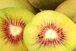 張家界獼猴桃奇異果 綠源紅心獼猴桃專業(yè)合作社熱賣促銷