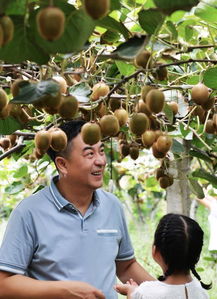 路人鏡頭下的張嘉譯 歲月沉淀下的和善與真實